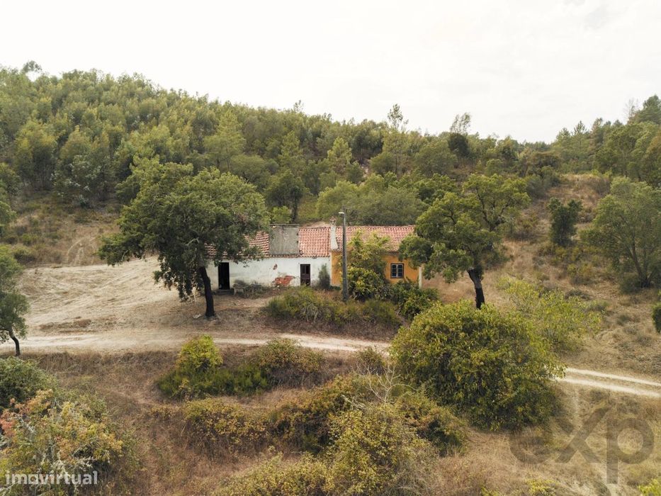 Quinta Florestal de 12,5 Hectares com Casa de Lavrador Centenária em B