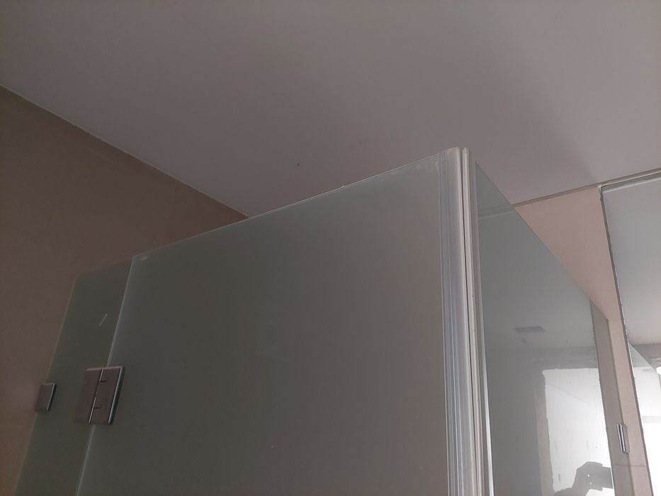 Resguardo de vidro fosco de duche