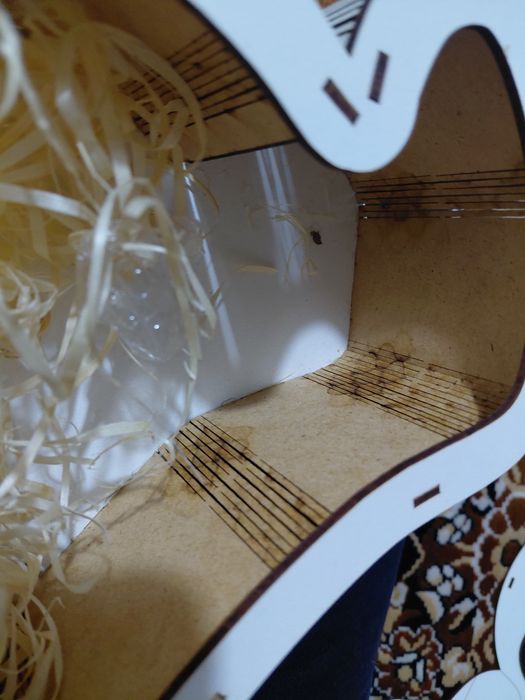 Подарункова Коробка ведмедя