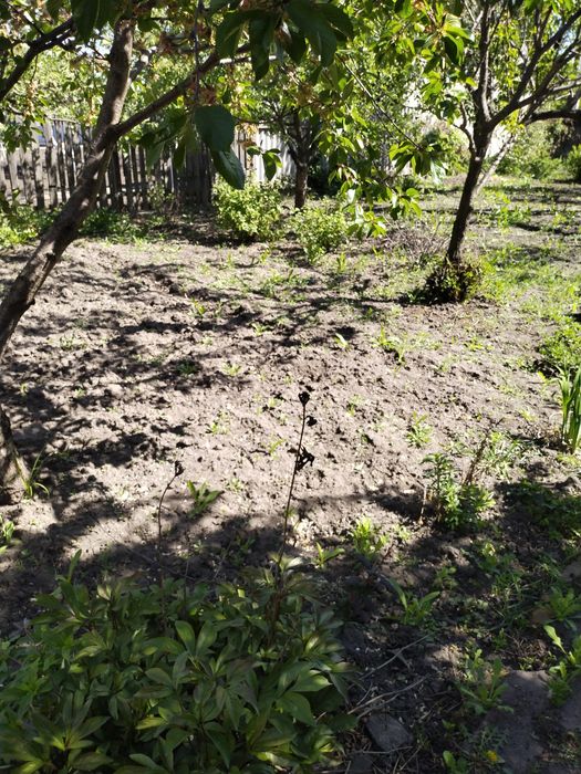 Продам дом в Малой Даниловке