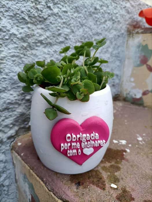 Vasos para suculentas