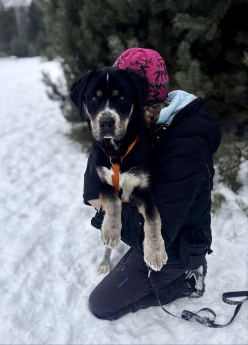 Fruzinka straciła za kratami już prawie rok młodości. Do adopcji