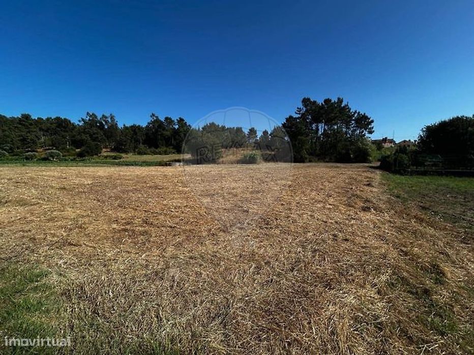 Terreno  para venda