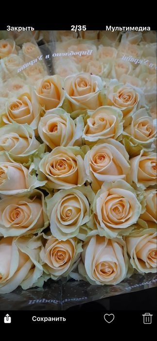 Продам розы по 58 грн всегда свежые