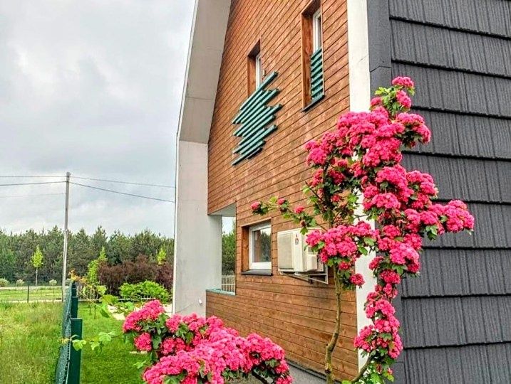 #230 А Двоповерховий будинок біля лісу подобово