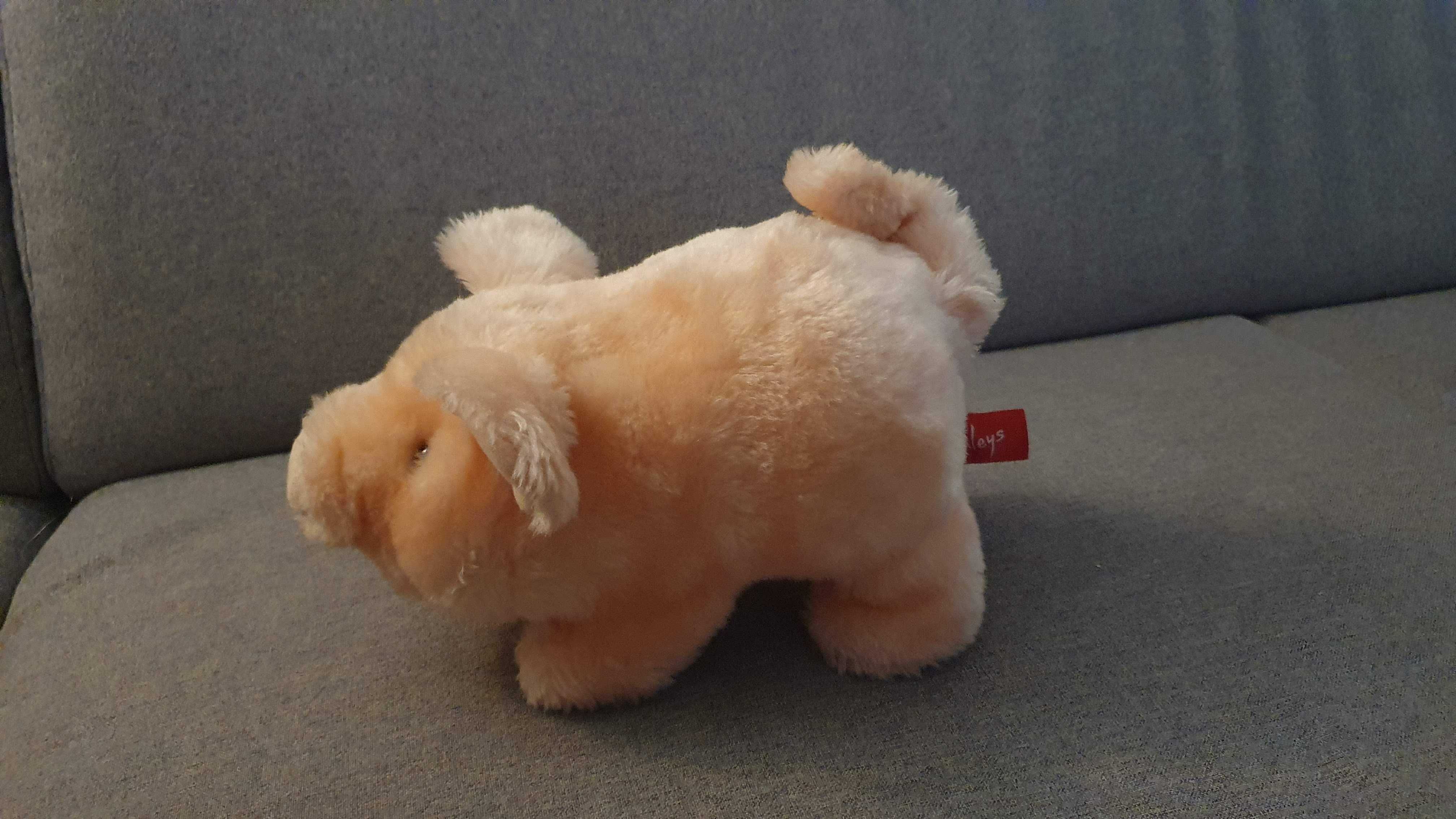 winka Hamleys Pudgey Pig chodzi i chrumka oryginalne pude ko od Polesie OLX.pl