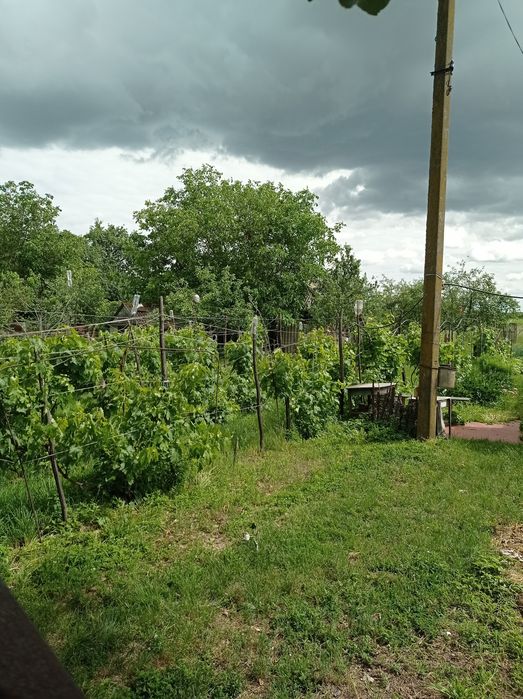 Будинок в 100км від Київа. Село Чемер.