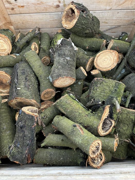 Drewno na opał wędzenie wiśnia jabłoń