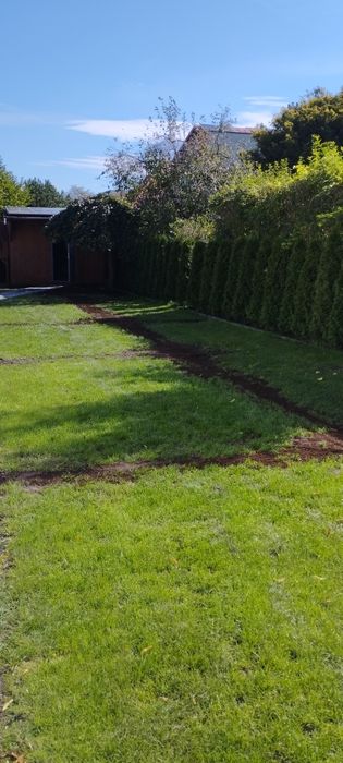 Montaż systemów nawadnia