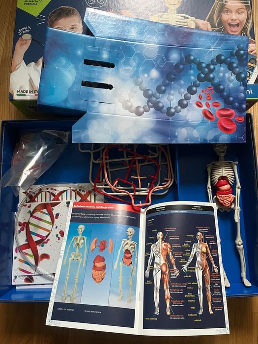 Ciało ludzkie Clementoni gra edukacyjna