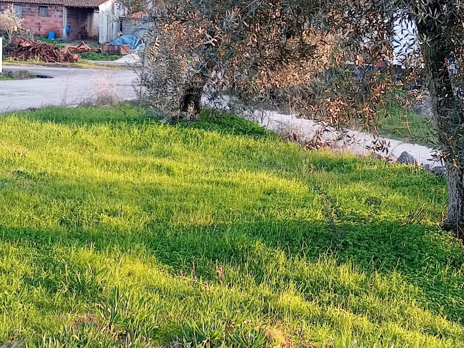 Terreno 747m2 viabilidade 60% de construção na Charneca Alvorge Ansião