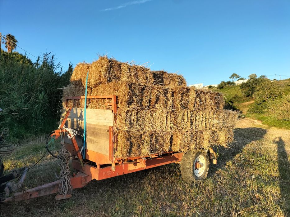 Fardos de Feno Pequenos