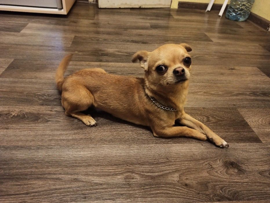 Кабель для вязки