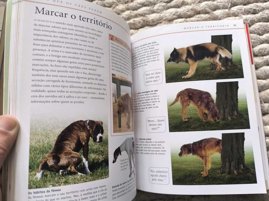 "Se o Seu Cão Falasse... Um guia de treino para os donos" Bruce Fogle