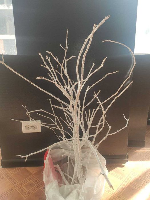 Декор, матеріал для флористів та декораторів