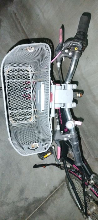 Rower Bitwin  24