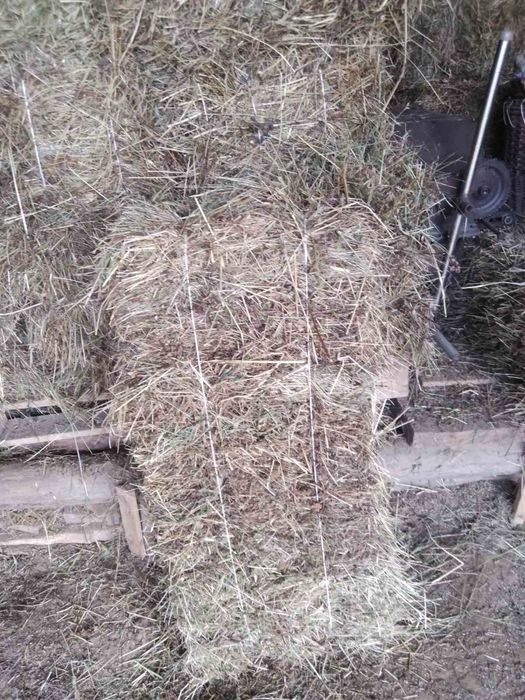 Продаж тюків( бал) сіно