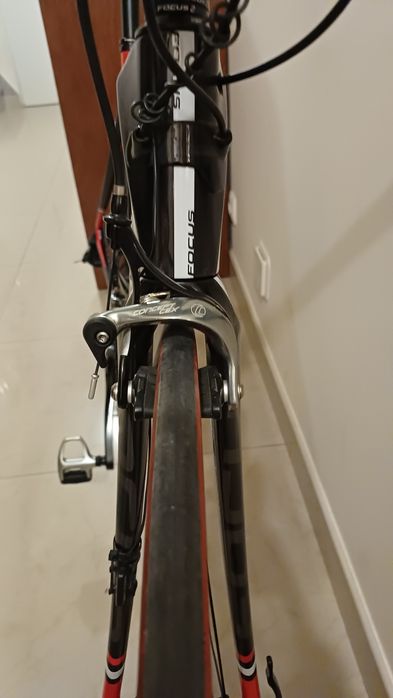 Focus cayo como nova