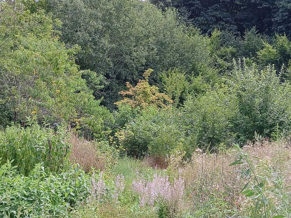 Продам будинок в Матяшівці!