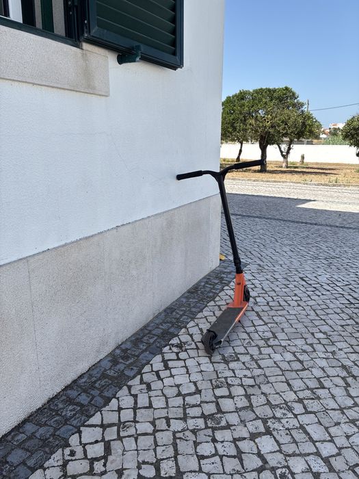 Trotinet profissional