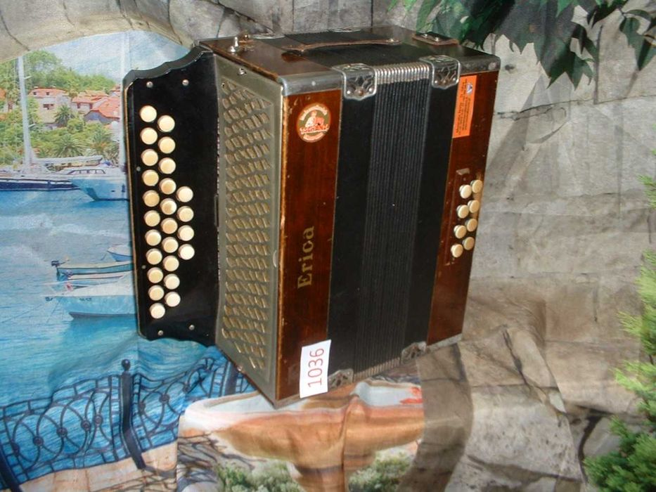 Concertina Avenda N .1036