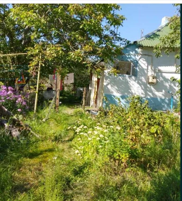 Продам дом в Васищево (р-н Гусиная поляна ) Газовое отопление 17 сотTB