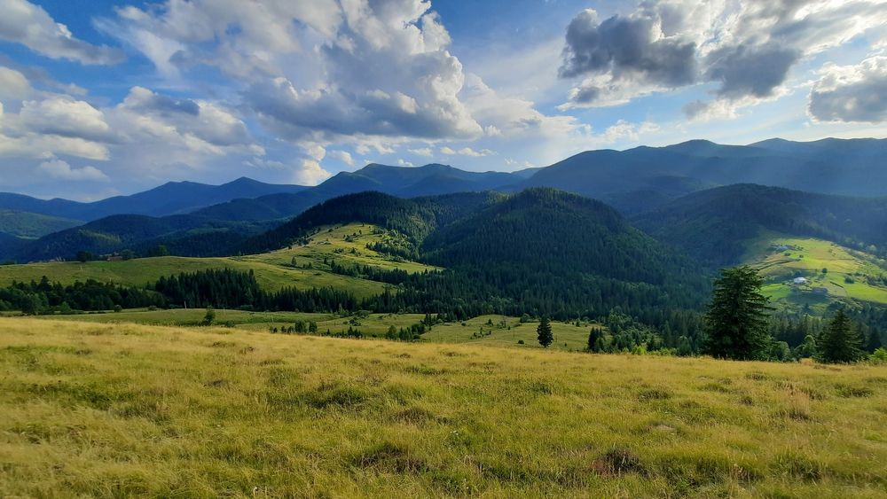 Рівна ділянка, під будову. Межує з лісом. 40 соток в Дземброні