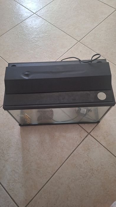Aquário 15litros