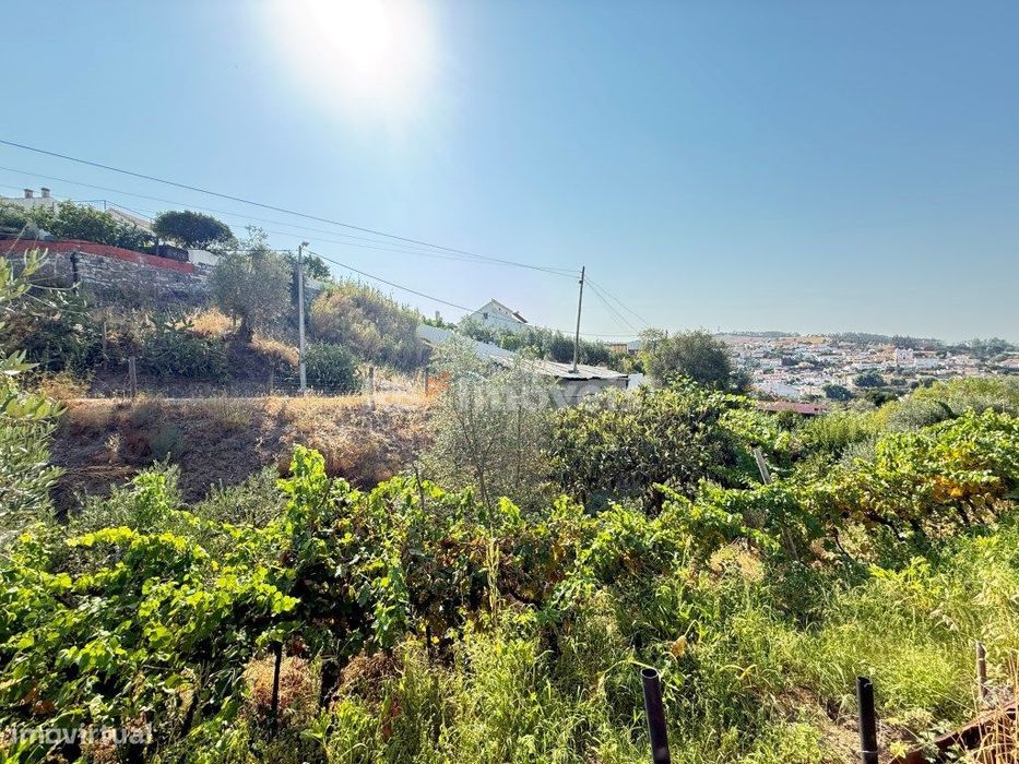 Plot of Land with Vineyard