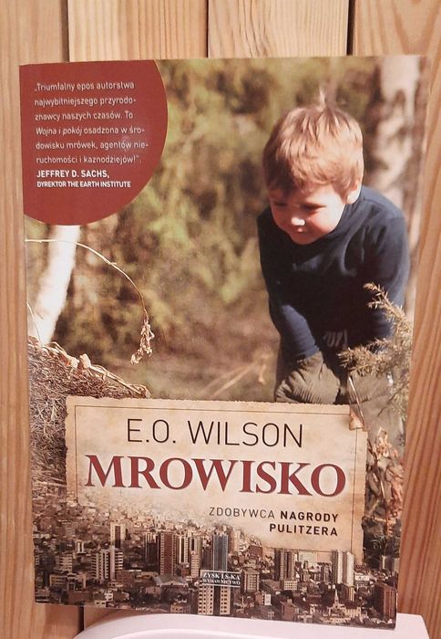 Książka "Mrowisko" Wilson