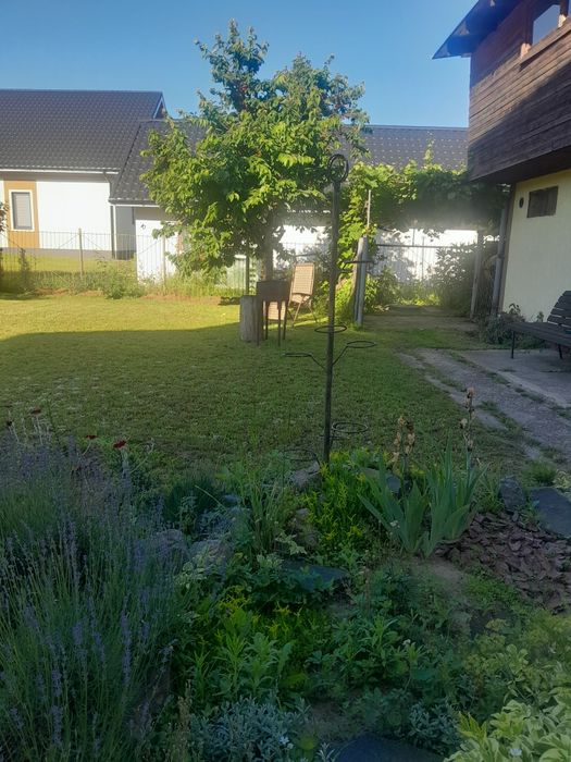 Дом у реки продам