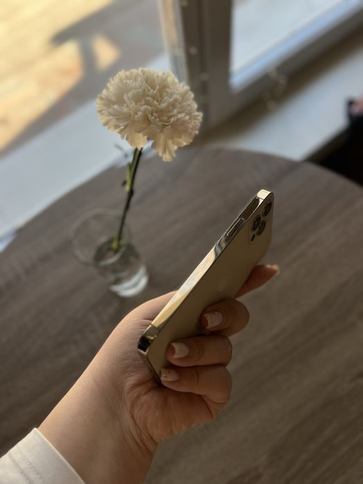 Iphone 12 Pro в ідеальному стані