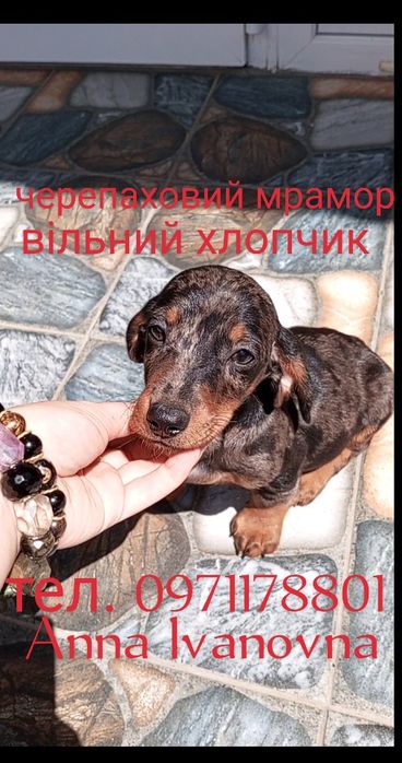 мрамор хлопчик, є мраморна дівчинка