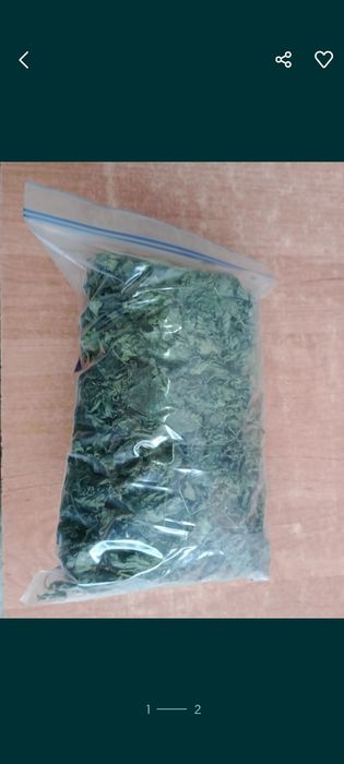 Listki pokrzywy zwyczajnej 3x3l