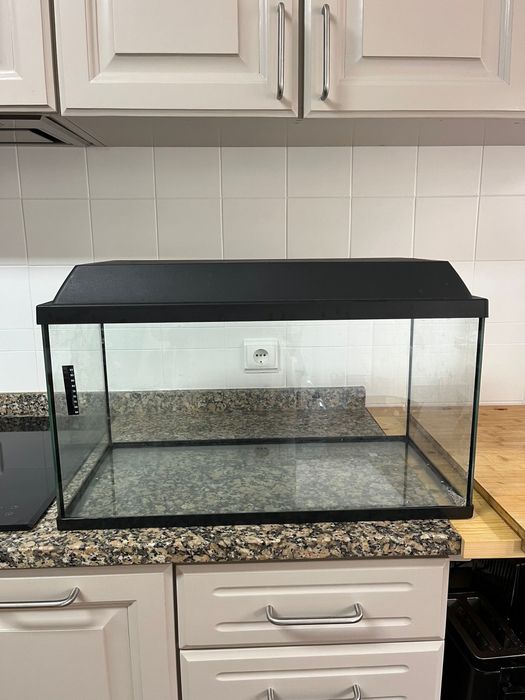 Aquário pra peixes ou tartarugas