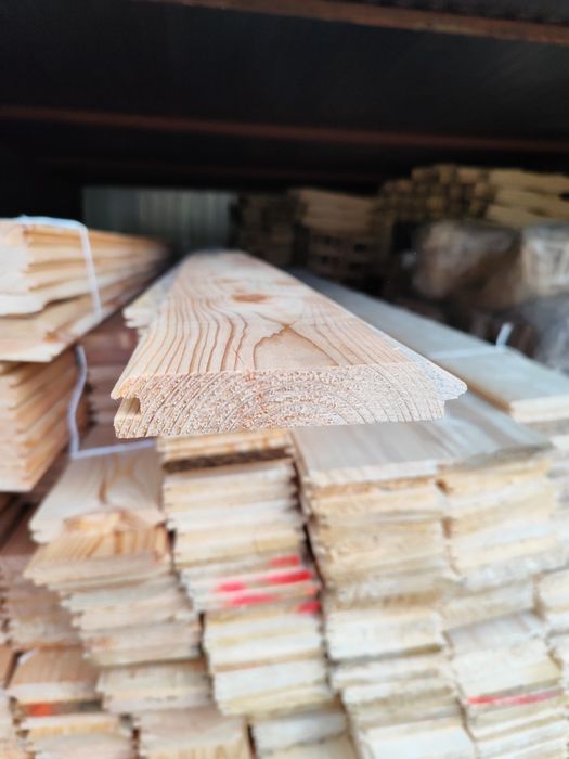 Boazeria świerkowa i modrzewiowa