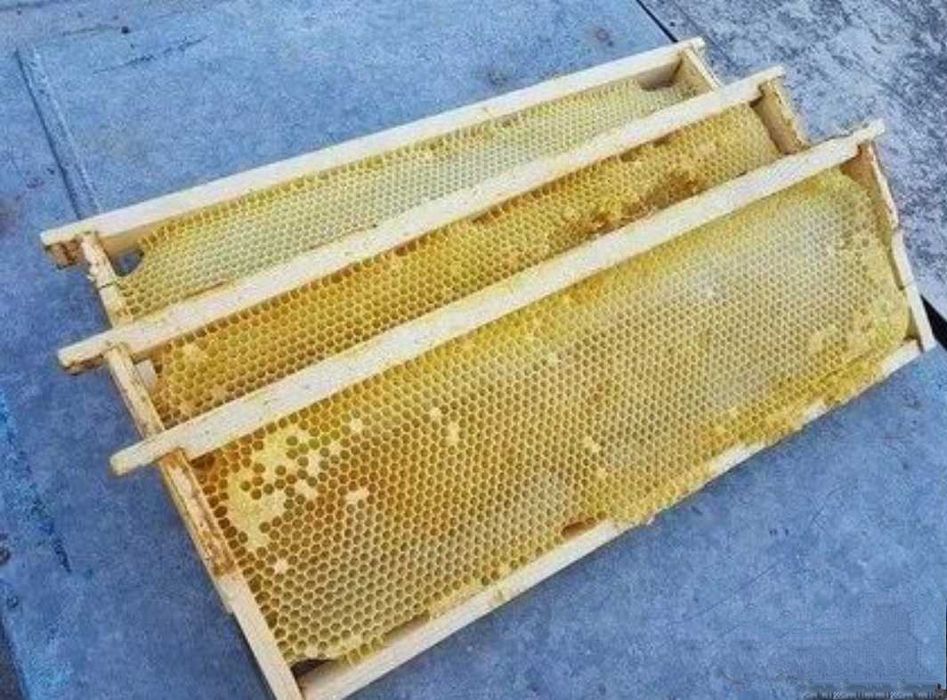 Продам сушь 145 рамка, БЕЗ разделителя Гофмана. Самовывоз