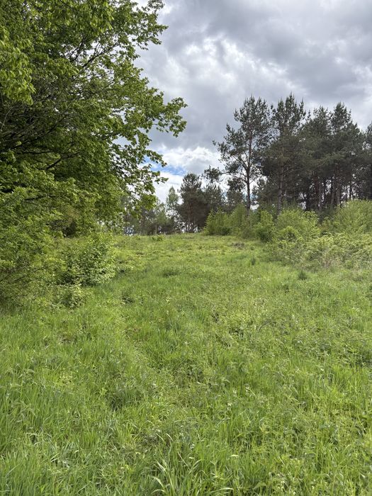 Działka rekreacyjna nad jeziorem z prądem - Widok 2