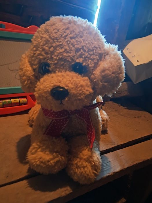 Собака 1 шт 400 грн