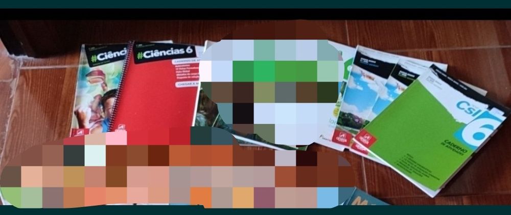 Manuais escolares para 6 ano