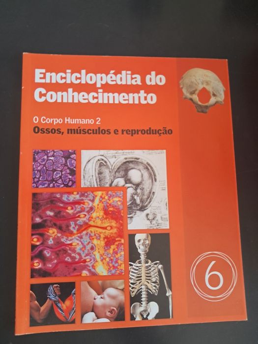 enciclopédia do conhecimento/ volumes 1/2/4/5/6/10/11/12/15/21