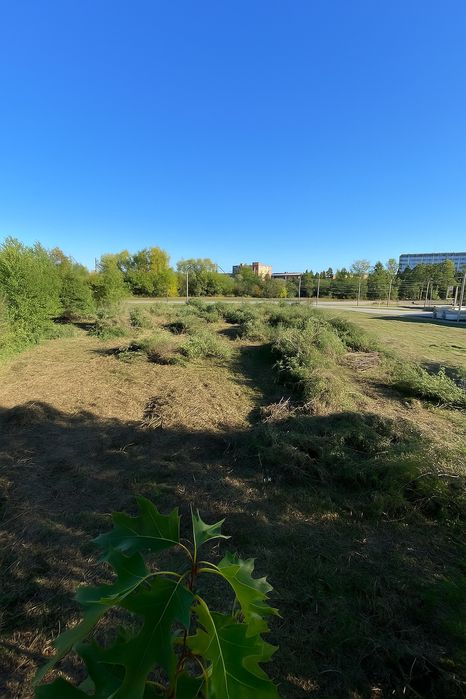 Чистка ділянок — швидко та якісно!