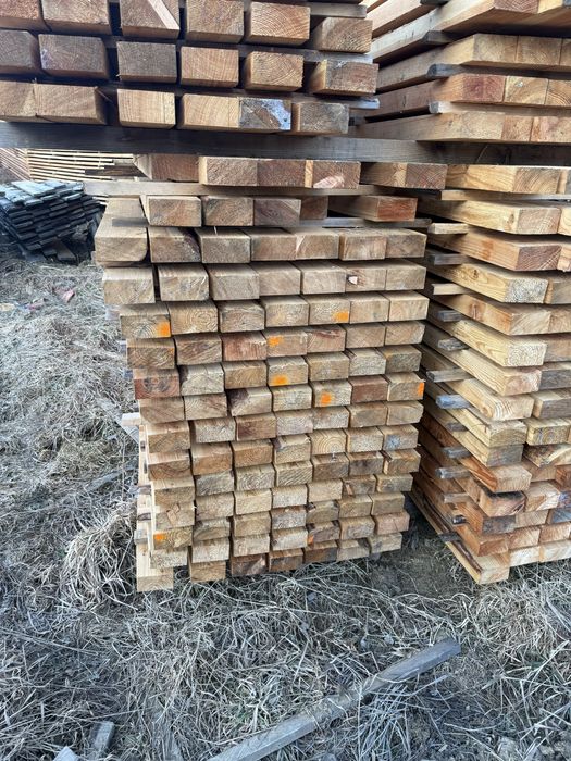 Kamtówka modrzewiowa 5,4x10.6