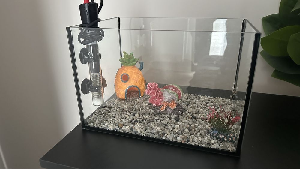 Akwarium  30x20x20cm