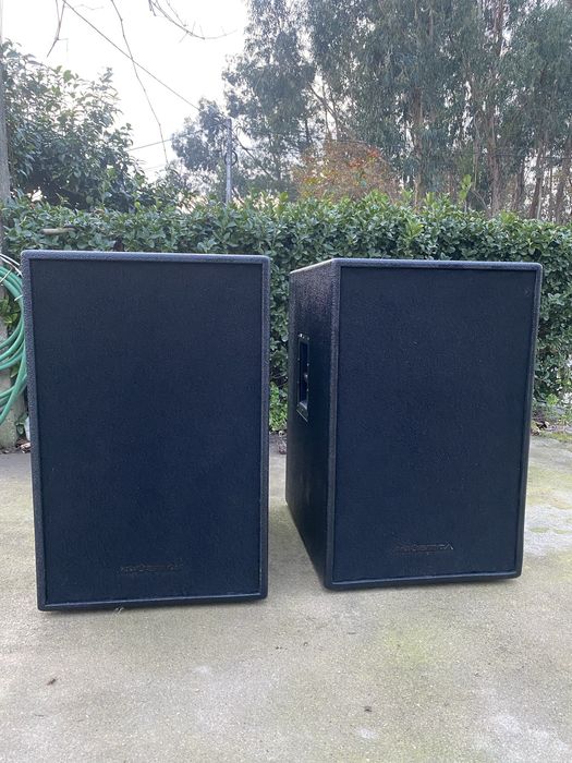 Vendo 2 graves amplificados ACUSTICA 4flex