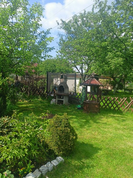 Działka ROD Stara Huta Jaworzno
