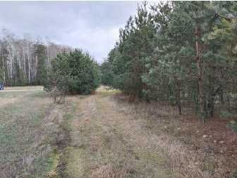 Syndyk sprzeda nieruchomość gruntową w Bagienice Wielkie - Widok 2