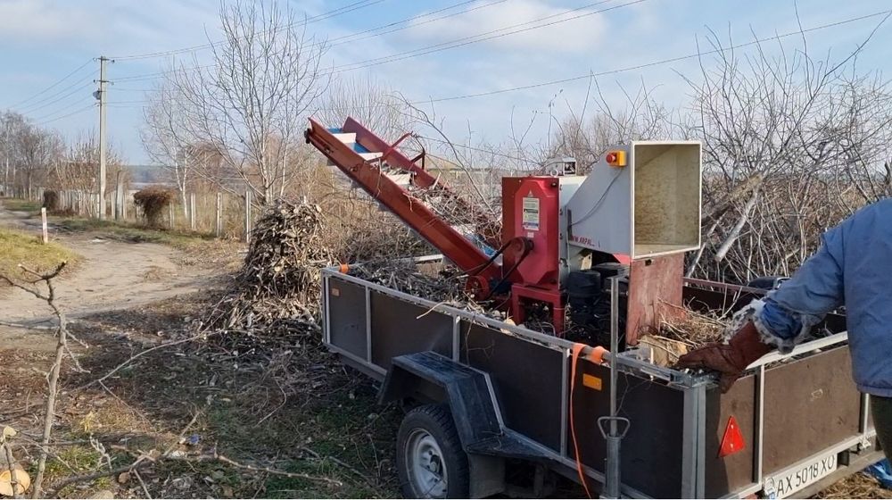 Спил деревьев с вывозом веток