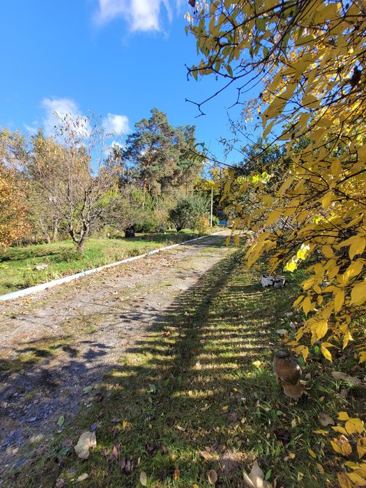 Продам будинок в лісництві! Селище Димер. Швидкий продаж
