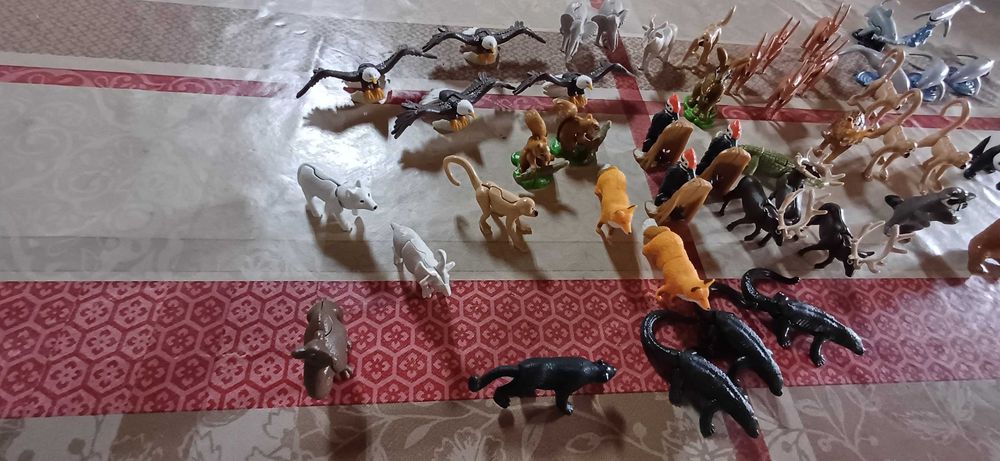 Vários natoons para venda